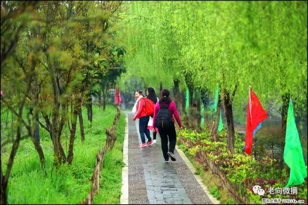 【春天，广西桂林灌阳县向您发出邀请！】江口老街又逢春 - 游山玩水 - 防城港生活社区 - 防城港28生活网 fcg.28life.com