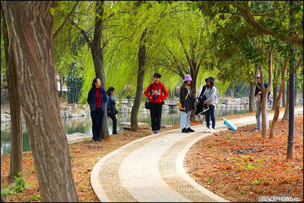 【春天，广西桂林灌阳县向您发出邀请！】江口老街又逢春 - 游山玩水 - 防城港生活社区 - 防城港28生活网 fcg.28life.com