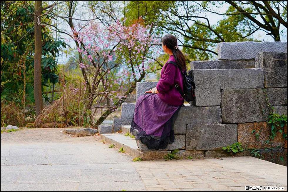 【春天，广西桂林灌阳县向您发出邀请！】江口老街又逢春 - 游山玩水 - 防城港生活社区 - 防城港28生活网 fcg.28life.com