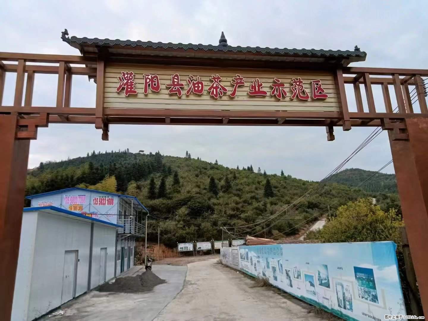 【灌阳县油茶产业示范区】一个有着充实的精神生活的人，对待身外之物自会有一种淡泊的态度 - 美食天地 - 防城港生活社区 - 防城港28生活网 fcg.28life.com