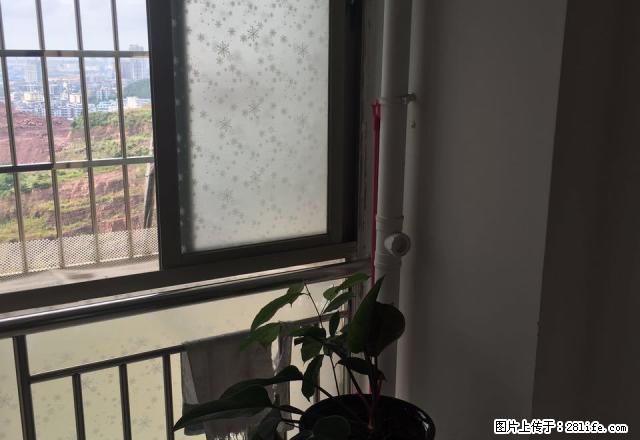 港口桂海星座 1室0厅34平米 精装修 押二付三 - 房屋出租 - 房屋租售 - 防城港分类信息 - 防城港28生活网 fcg.28life.com