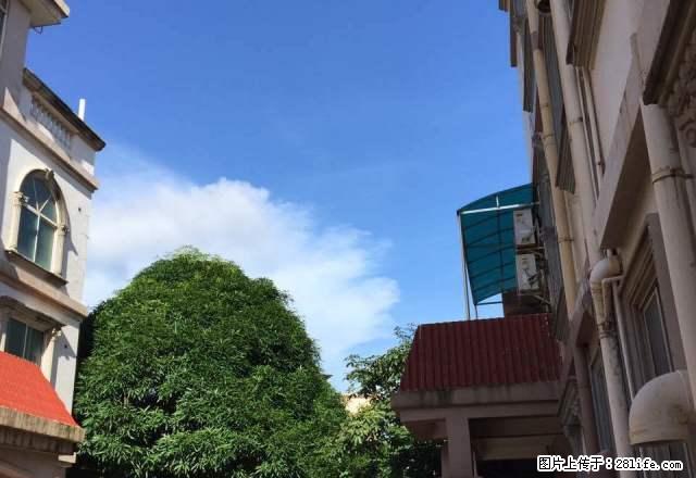 港口仙人湾别墅 6室2厅270平米 中等装修 押二付三 - 房屋出租 - 房屋租售 - 防城港分类信息 - 防城港28生活网 fcg.28life.com