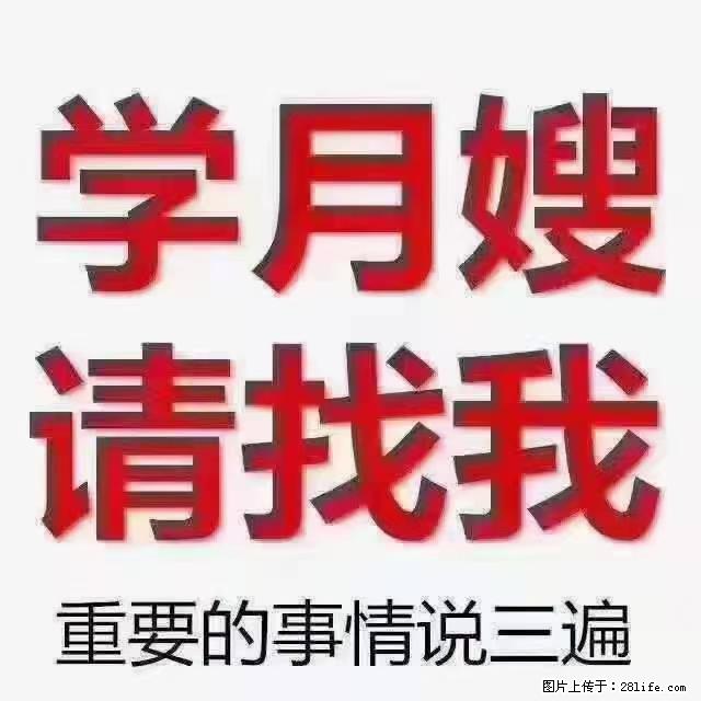【招聘】月嫂，上海徐汇区 - 职场交流 - 防城港生活社区 - 防城港28生活网 fcg.28life.com