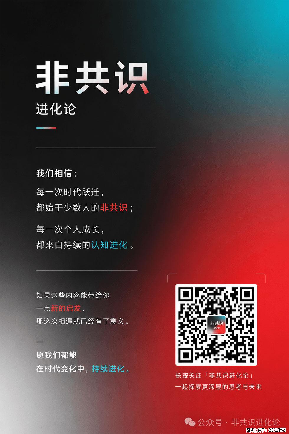 AI不会淘汰程序员，但会改变程序员的成长路径 - 职场交流 - 防城港生活社区 - 防城港28生活网 fcg.28life.com