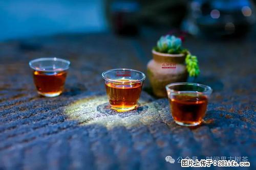 时间果百年古树2025年春红茶 - 购物交流 - 防城港生活社区 - 防城港28生活网 fcg.28life.com