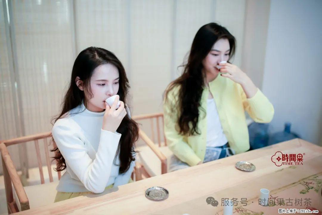 时间果百年古树龙珠普洱生茶 - 购物交流 - 防城港生活社区 - 防城港28生活网 fcg.28life.com