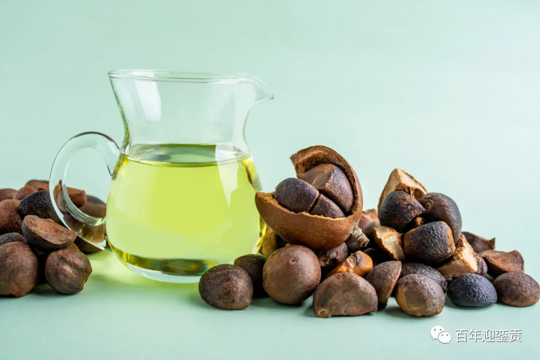 世界没有真相，只有认知，最好的食用油是中国的山茶油！ - 防城港生活资讯 - 防城港28生活网 fcg.28life.com