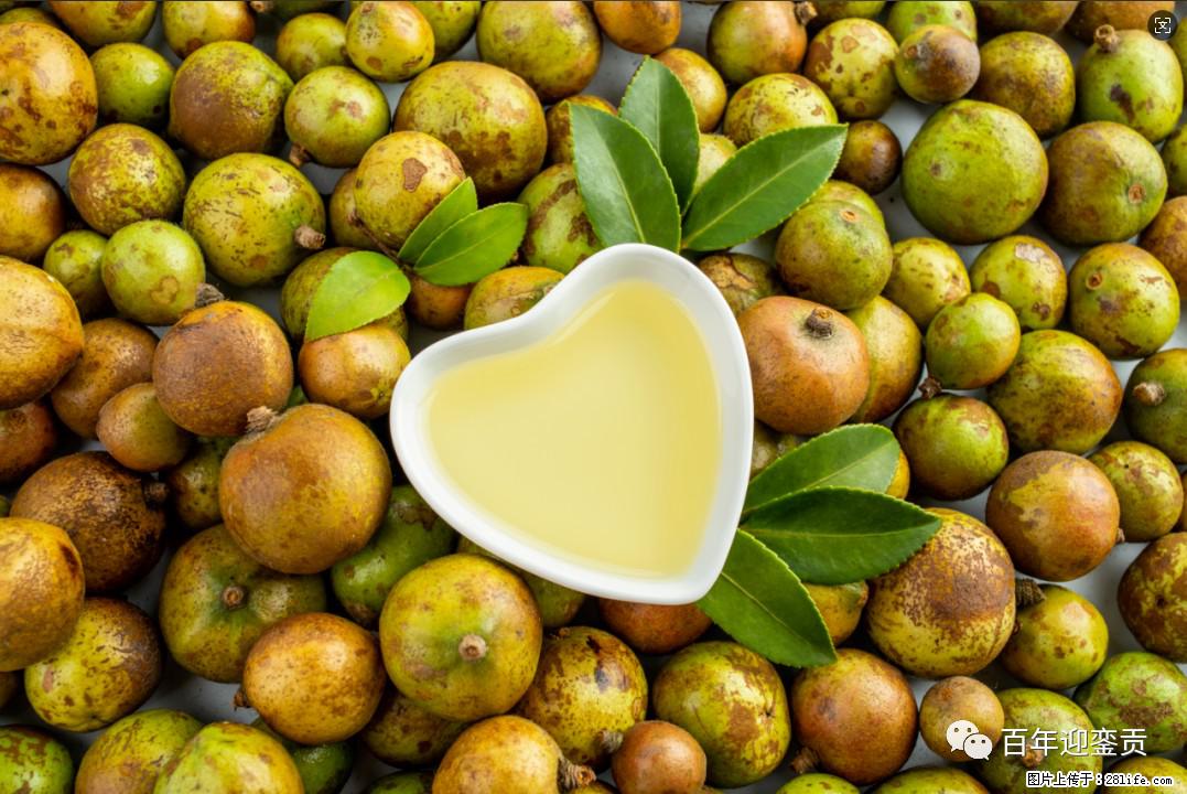 世界没有真相，只有认知，最好的食用油是中国的山茶油！ - 防城港生活资讯 - 防城港28生活网 fcg.28life.com