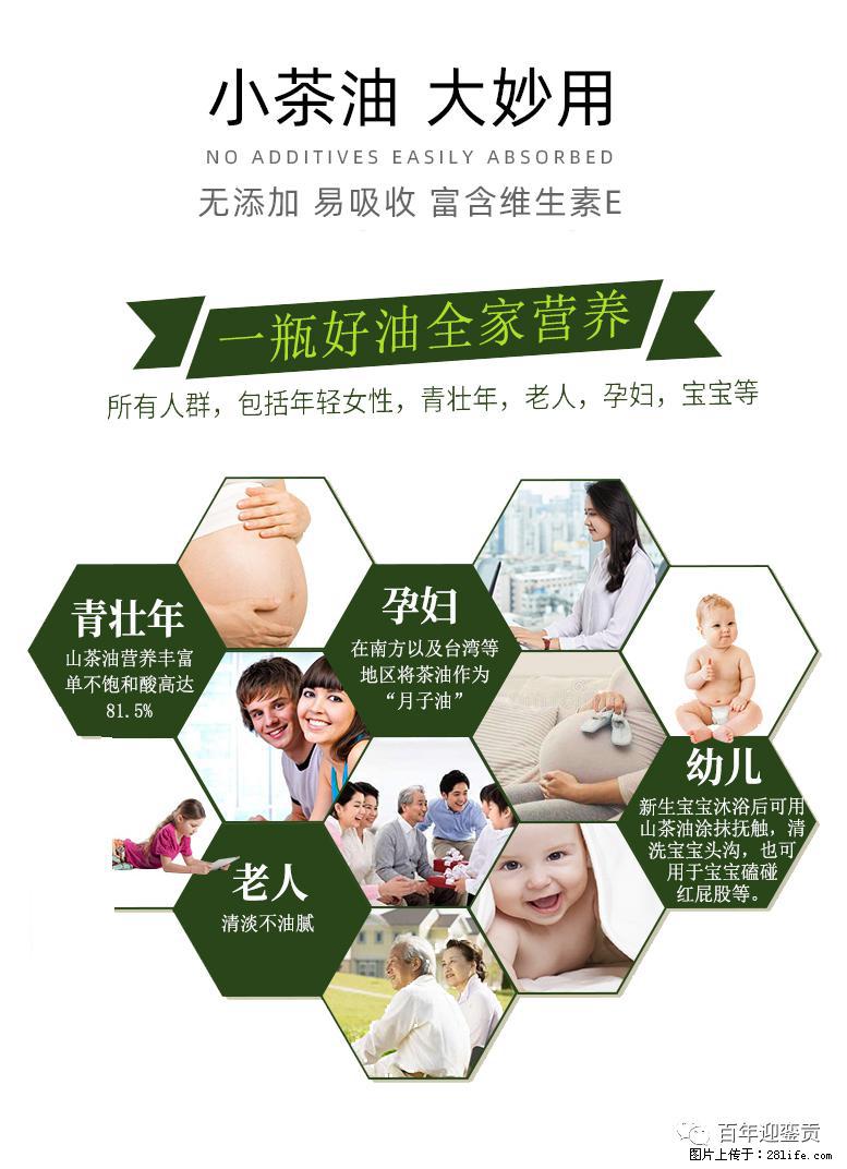 世界没有真相，只有认知，最好的食用油是中国的山茶油！ - 防城港生活资讯 - 防城港28生活网 fcg.28life.com