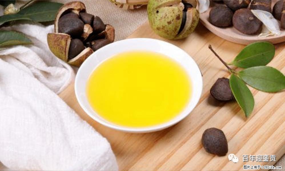 世界没有真相，只有认知，最好的食用油是中国的山茶油！ - 防城港生活资讯 - 防城港28生活网 fcg.28life.com