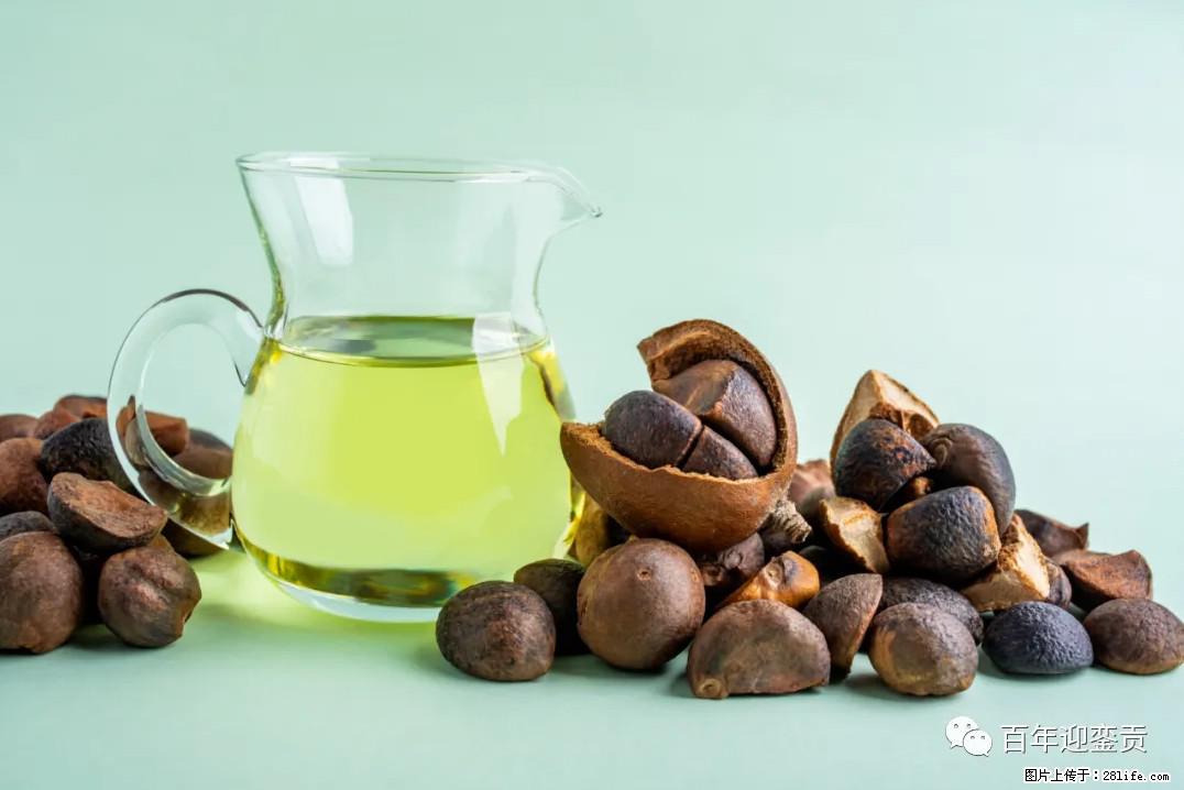 世界没有真相，只有认知，最好的食用油是中国的山茶油！ - 防城港生活资讯 - 防城港28生活网 fcg.28life.com