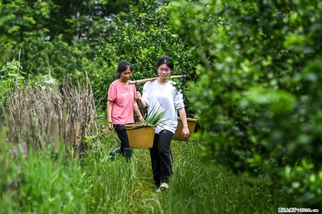 全网追的“扁担女孩”，找了一份暑假工，时薪12元 - 防城港生活资讯 - 防城港28生活网 fcg.28life.com