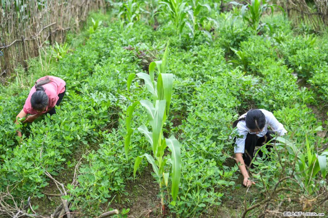 全网追的“扁担女孩”，找了一份暑假工，时薪12元 - 防城港生活资讯 - 防城港28生活网 fcg.28life.com