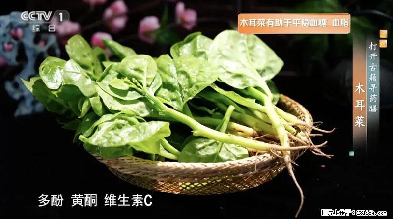 比牛奶补钙还厉害！凉血解毒、稳血糖...这菜冬天必吃，很多人却当草 - 防城港生活资讯 - 防城港28生活网 fcg.28life.com