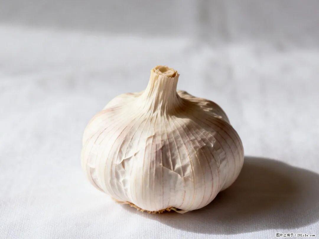 关于大蒜，除了“天然抗生素”，这4个谣言更该警惕! - 防城港生活资讯 - 防城港28生活网 fcg.28life.com