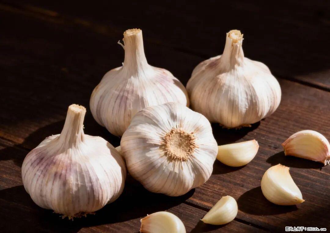 关于大蒜，除了“天然抗生素”，这4个谣言更该警惕! - 防城港生活资讯 - 防城港28生活网 fcg.28life.com