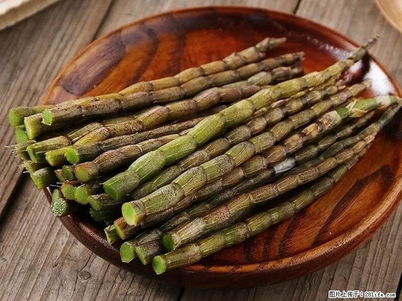 铁皮石斛的作用与功能主治 - 防城港生活资讯 - 防城港28生活网 fcg.28life.com